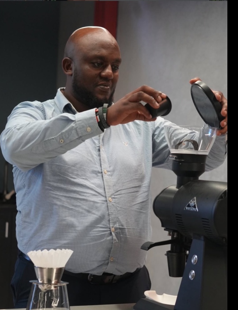 Barista brewing specialty coffee